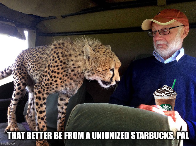 Starbucks union cheetah meme