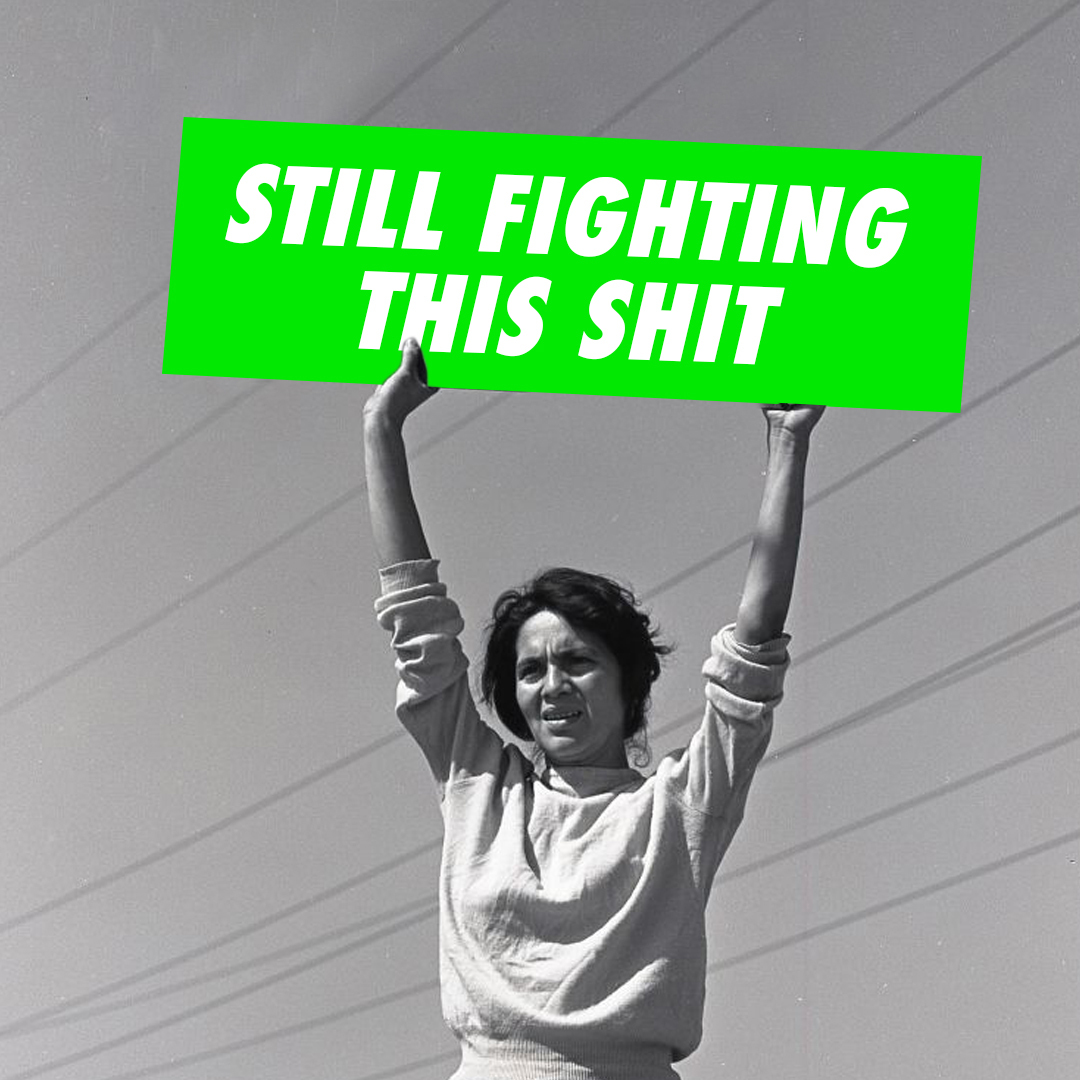 Feminists still fighting this shit meme