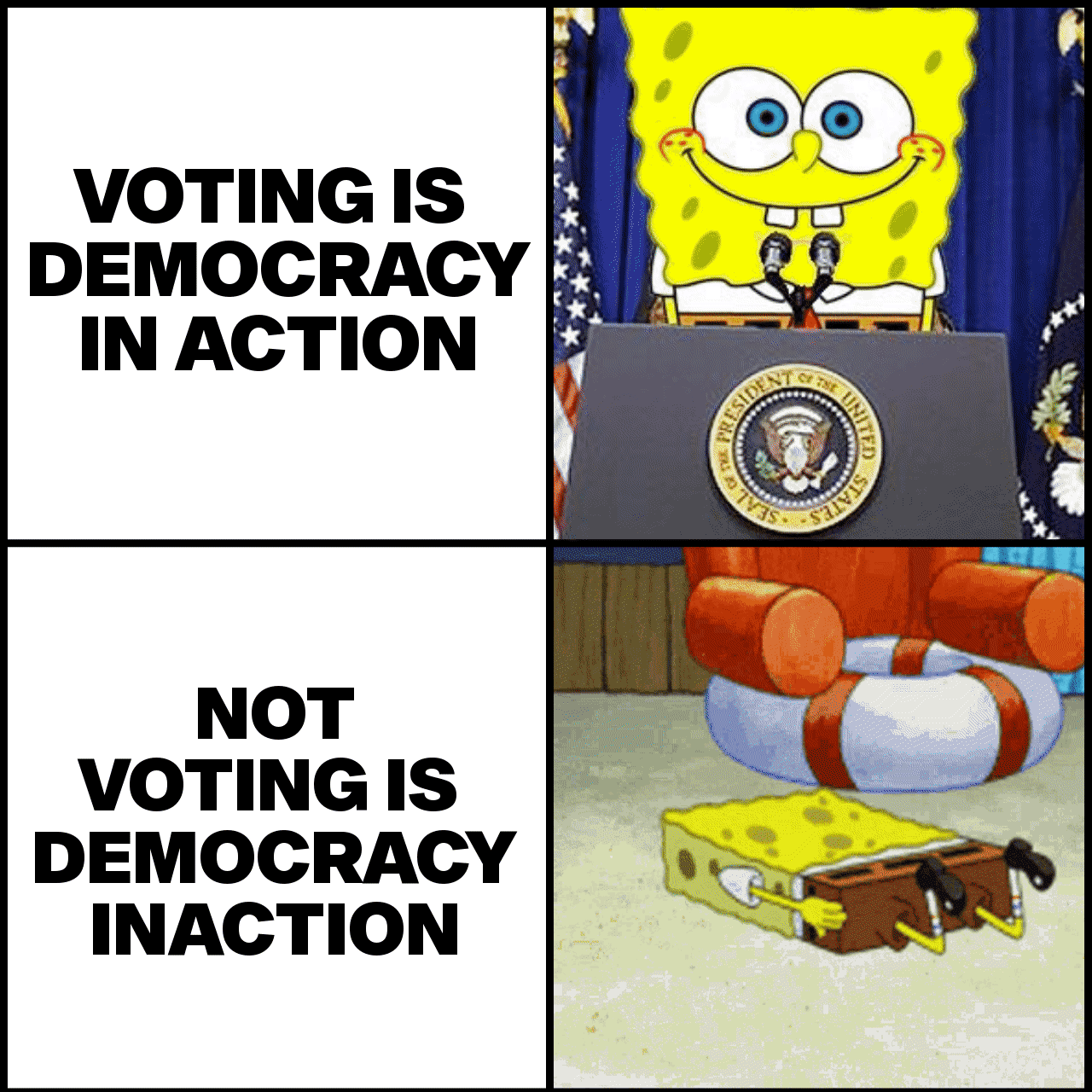 Voting is democracy in action, not voting is democracy inaction motion meme