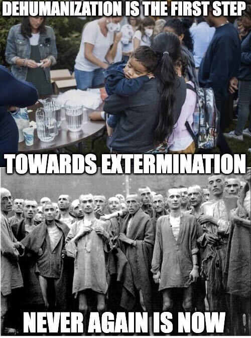 Dehumanization is the first step towards extermination, never again is now meme