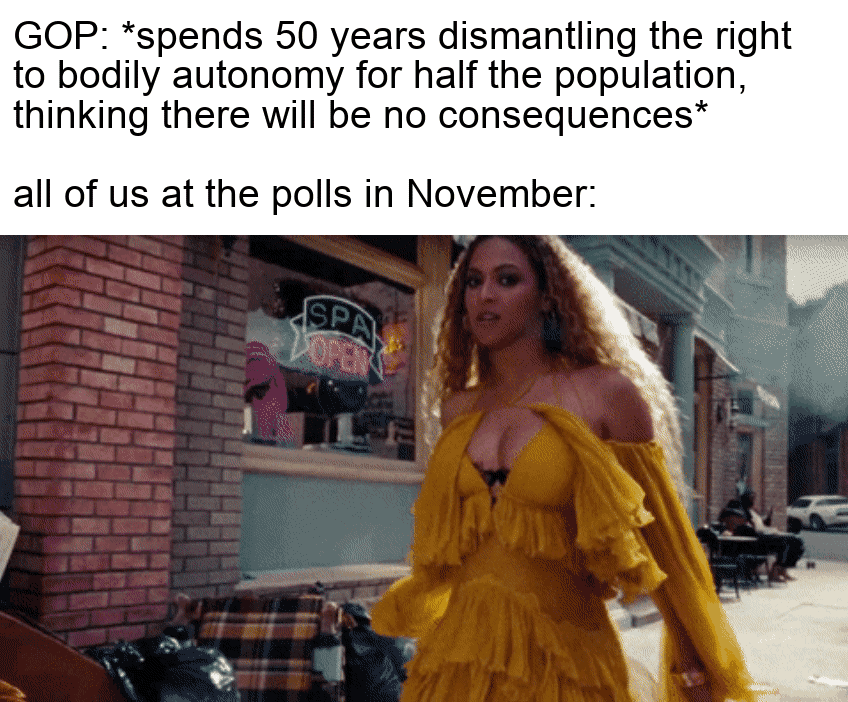All of us at the polls in November motion meme