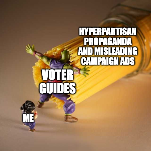 Voter Guides protecting me from hyperpartisan propaganda and misleading campaign ads meme