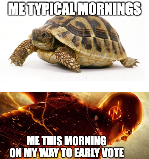 Me this morning on my way to early vote meme