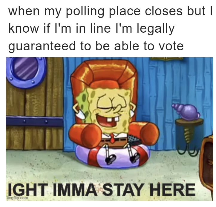 When my polling place closes but I know if I'm in line I'm legally guaranteed to be able to vote meme