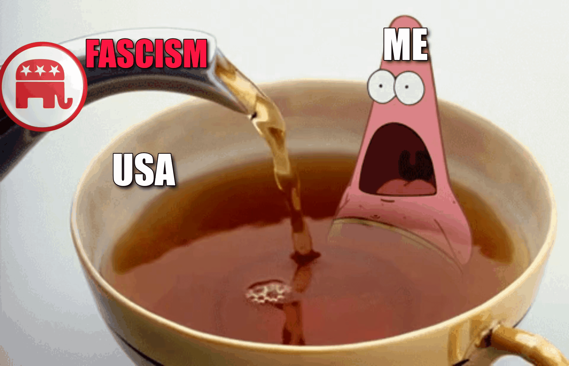 Patrick from Spongebob, sitting in a mug of tea being poured. The pitcher is GOP/Fascism. The mug is the USA. Patrick? He's all of us. A motion meme