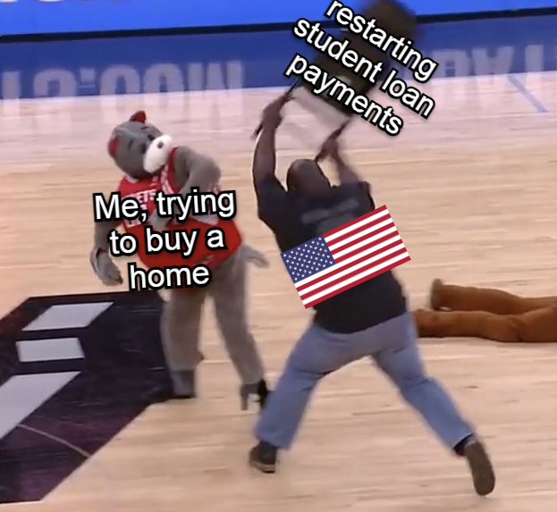 Me, trying to buy a home and restart student loan payments meme