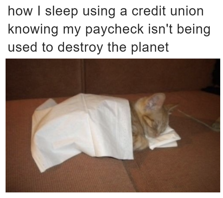 How I sleep using a credit union knowing my paycheck isn't being used to destroy the planet meme