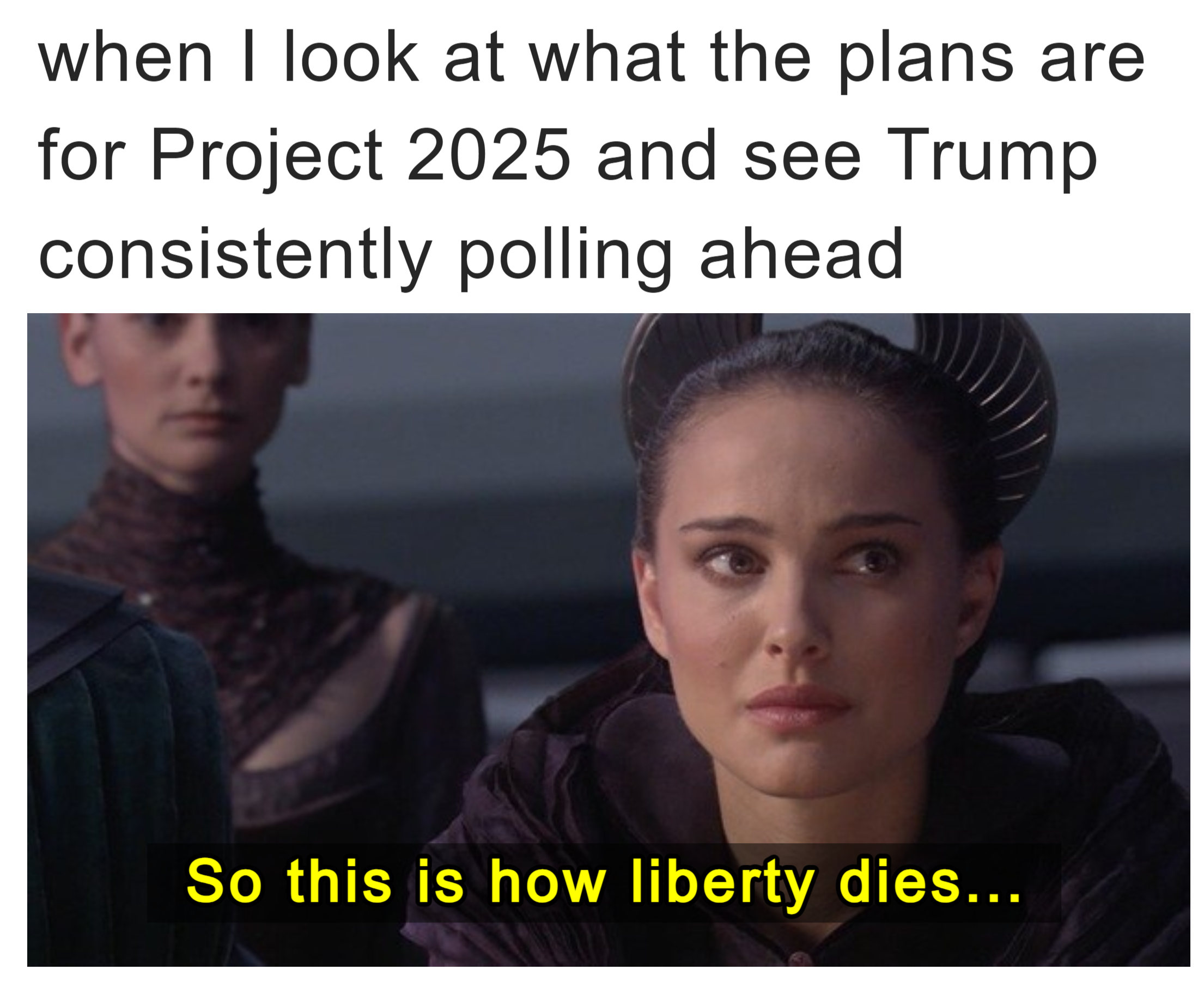 When I look at what the plans are for Project 2025 meme