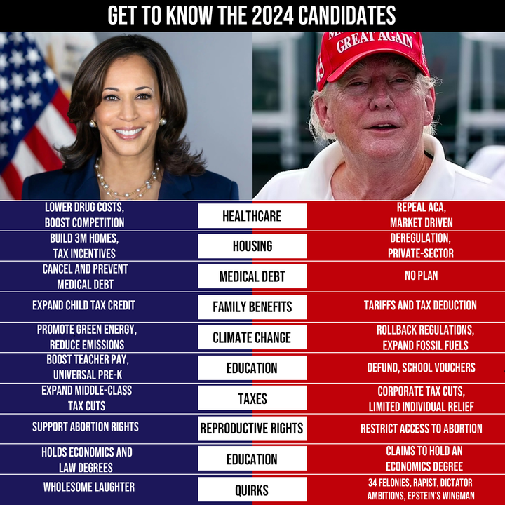 Get to know the 2024 candidates meme