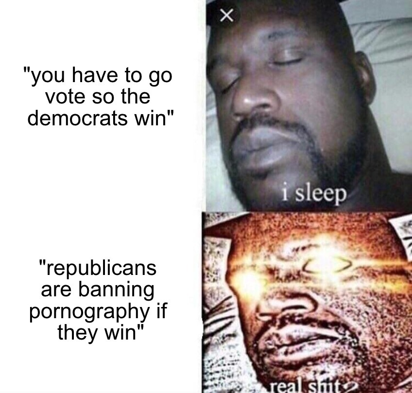 You have to go vote I sleep meme
