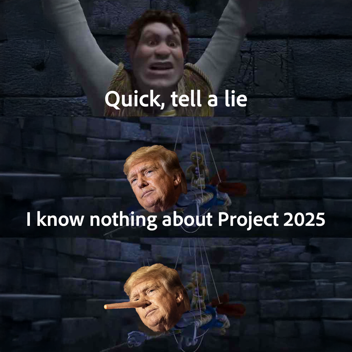 Lies about project 2025 meme