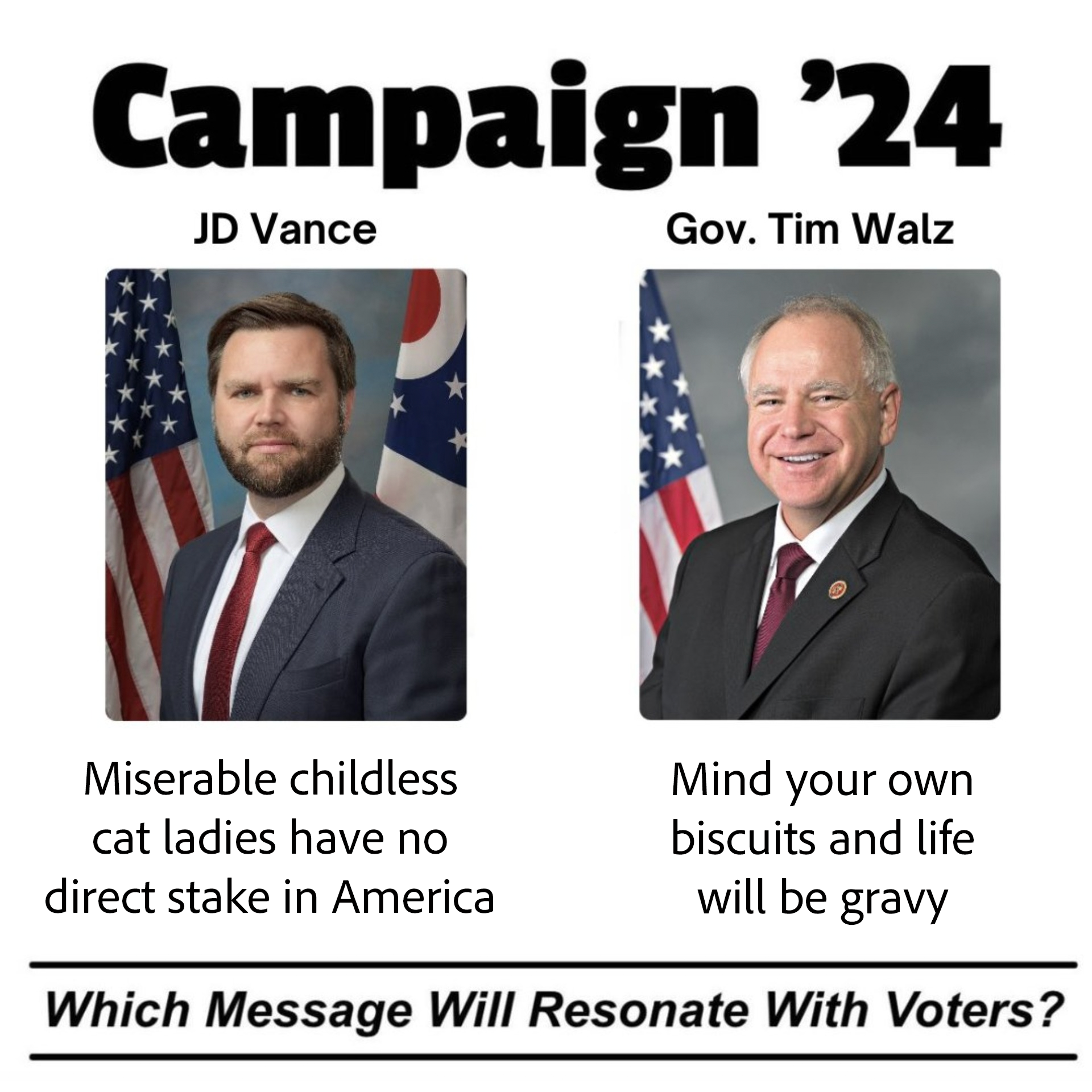 Campaign '24 meme