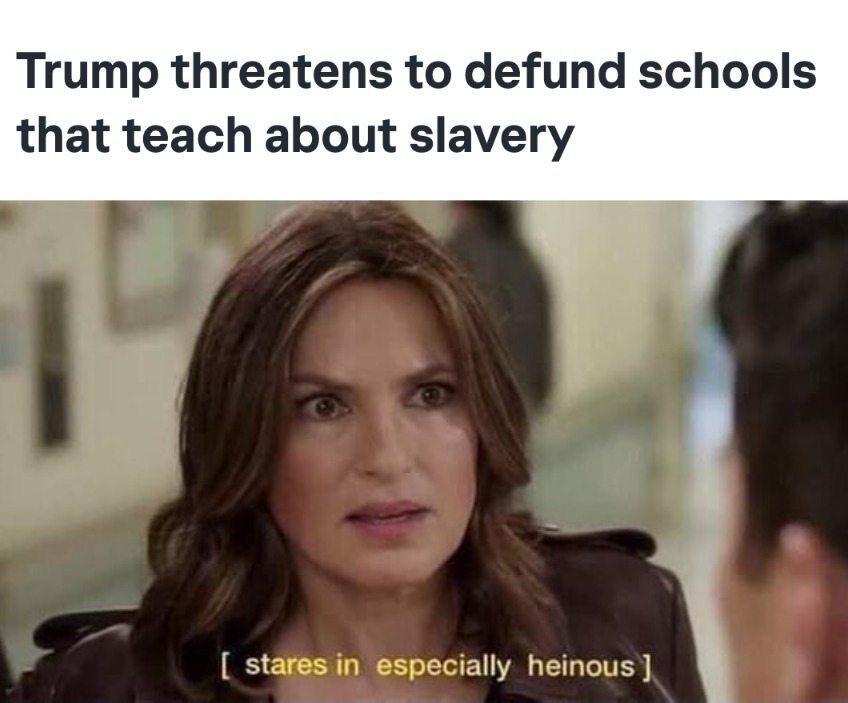 Trump threatens to defund schools that teach about slavery meme