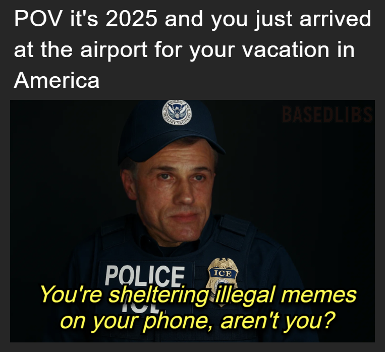 POV it's 2025 and you just arrived at the airport for your vacation in America, immigration meme
